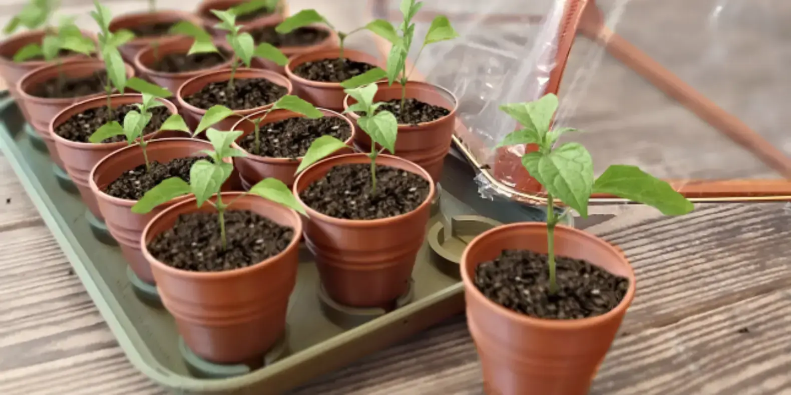 Here is a selection of the best STL files for gardening tools to make with a 3D printer